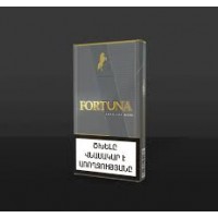 Fortuna SS Gray Fortuna SS Gray