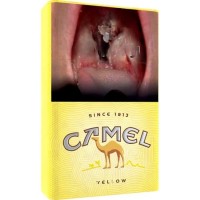 Camel Yellow Беларусь