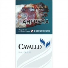 Cavallo Black Wings